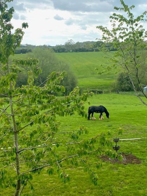 Braunston Field View别墅 外观 照片
